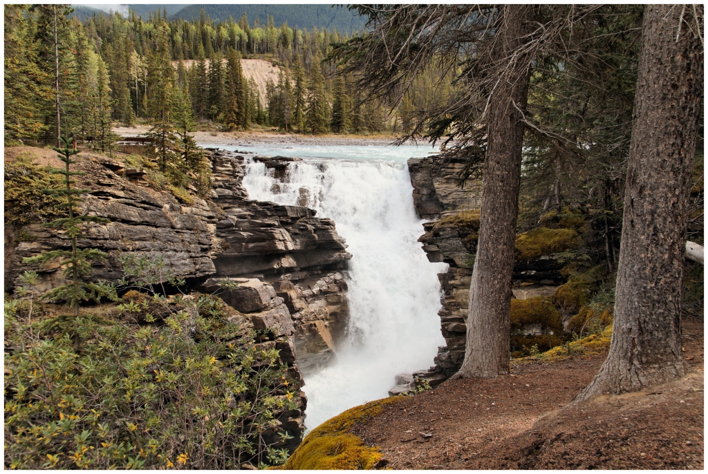 05 - Jasper NP (37).jpg